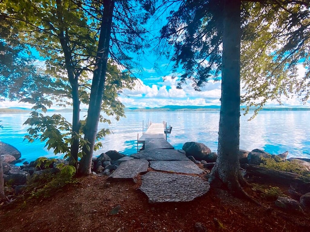 property view of water with a dock