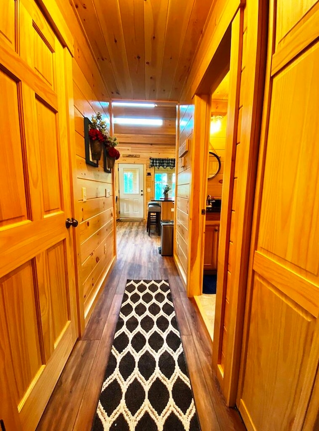 hallway featuring wooden ceiling, dark wood-type flooring, and wood walls