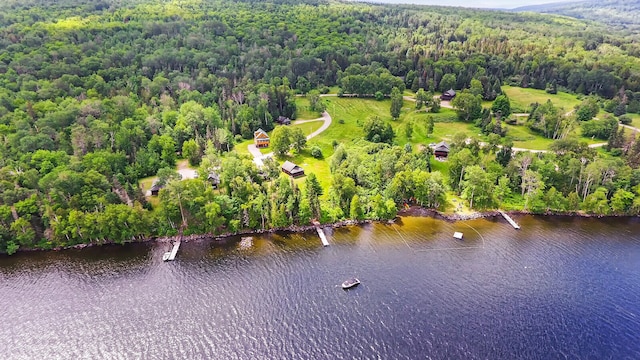 bird's eye view with a water view