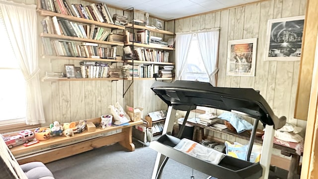 misc room with carpet and wood walls