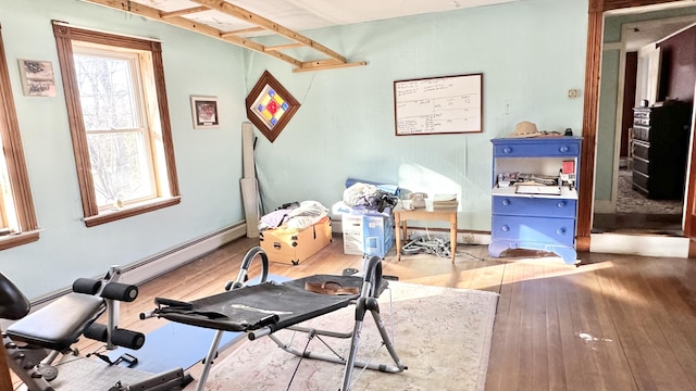 workout room featuring hardwood / wood-style flooring