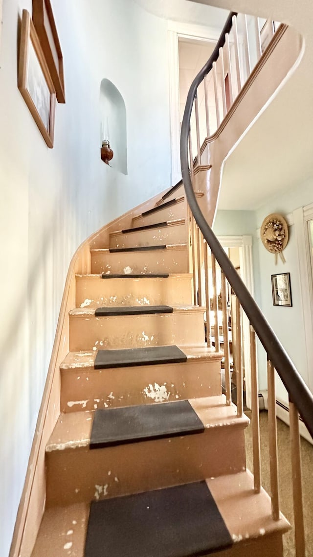 stairs featuring carpet