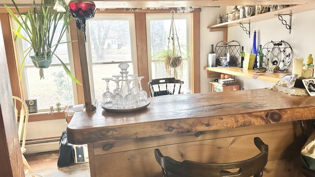 dining space with hardwood / wood-style floors and baseboard heating