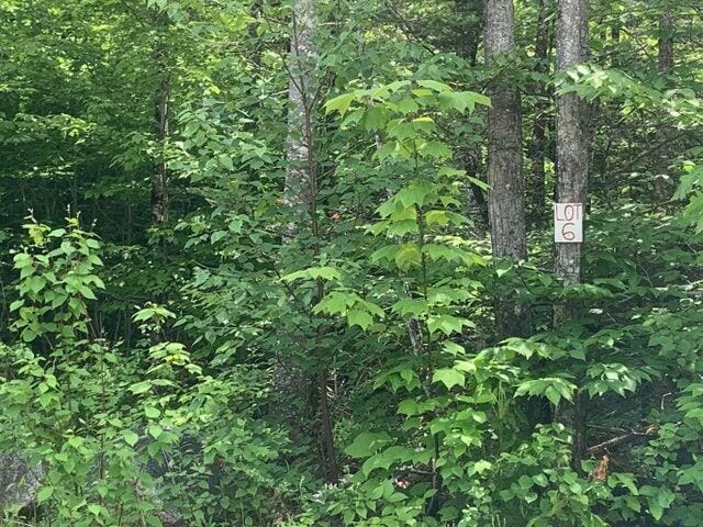 LOT6 Northern Way, Dedham ME, 04429 land for sale