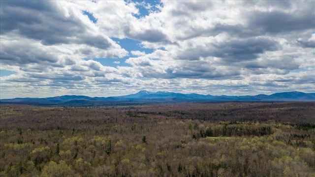 view of mountain feature