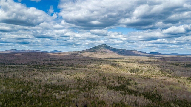 view of mountain view