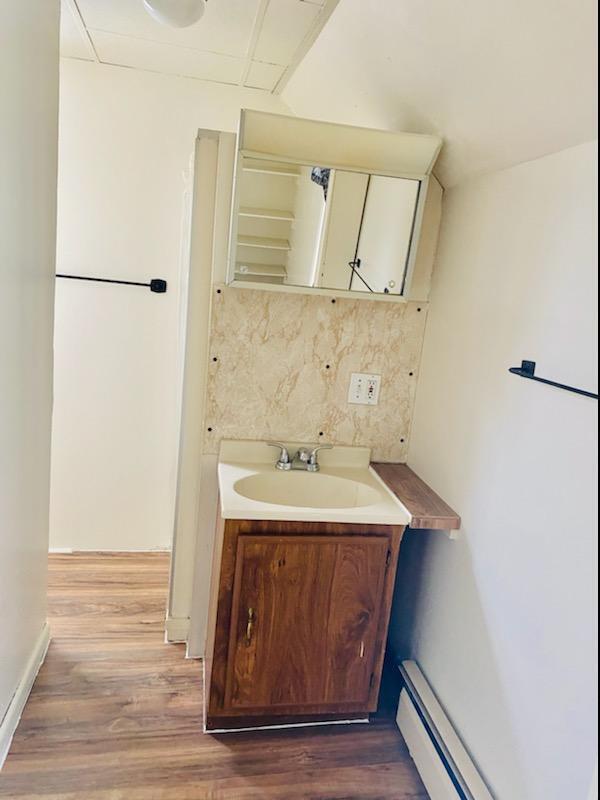 bathroom featuring backsplash, vanity, and hardwood / wood-style flooring