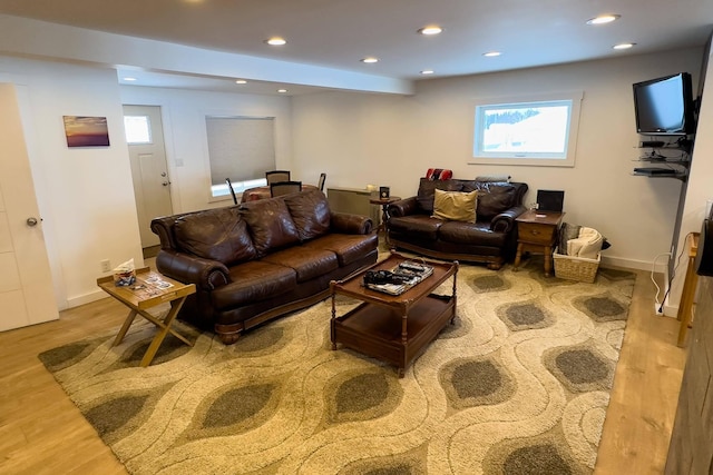 living room featuring wood-type flooring