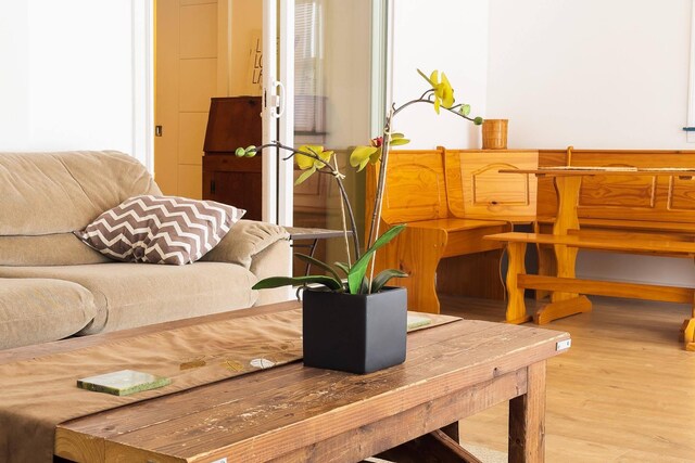 living room with wood-type flooring