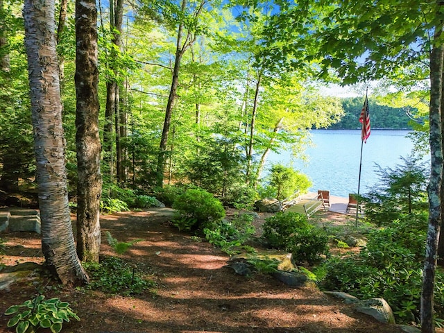 property view of water with a dock