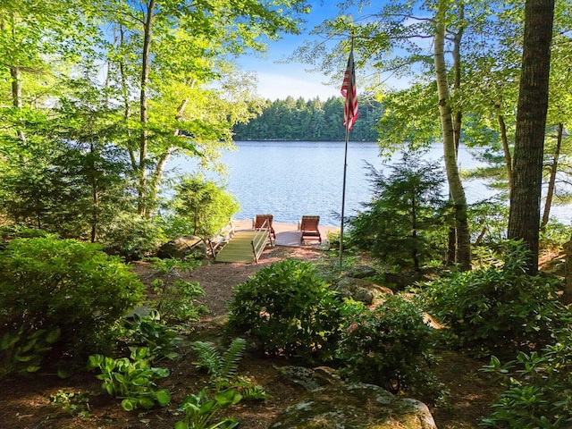 view of water feature featuring a dock