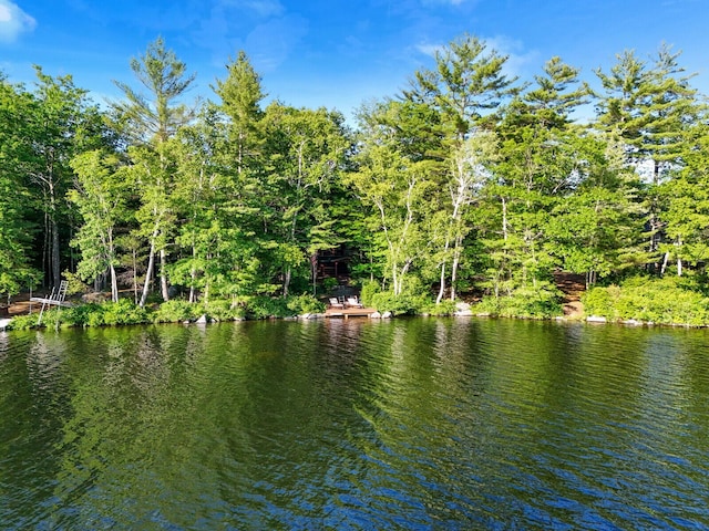 view of water feature featuring a forest view