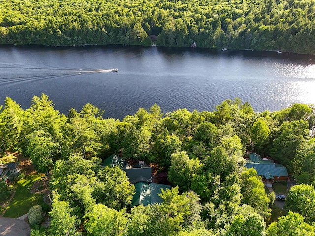 birds eye view of property with a water view and a view of trees