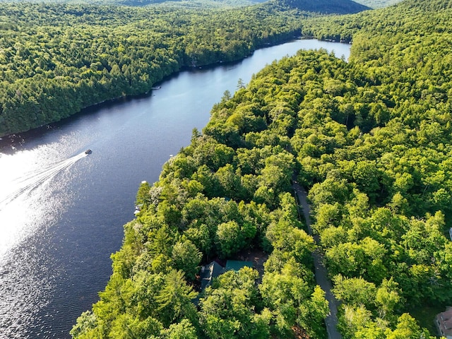 drone / aerial view with a water view and a forest view
