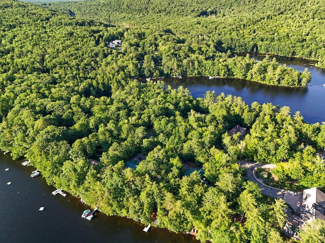 birds eye view of property featuring a forest view and a water view