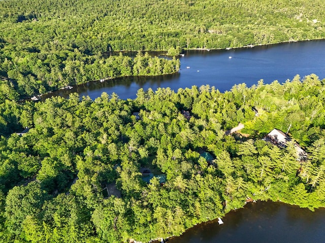 bird's eye view featuring a water view and a wooded view