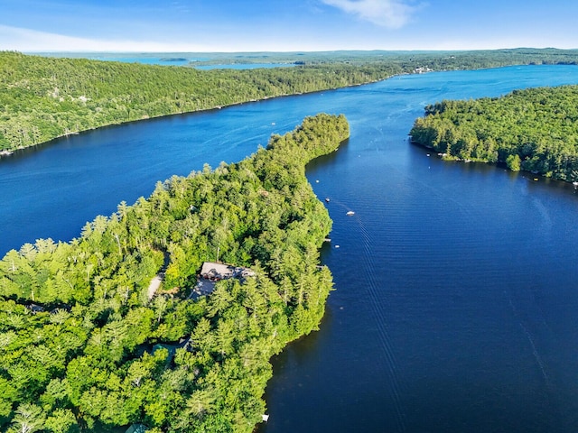 birds eye view of property with a water view and a forest view