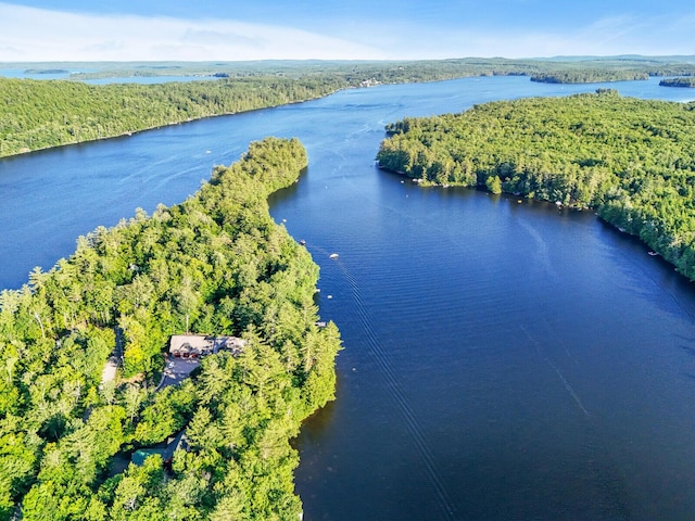 drone / aerial view with a water view and a view of trees