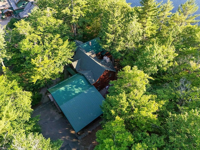 drone / aerial view