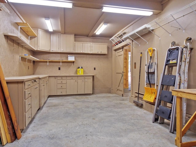below grade area with a workshop area