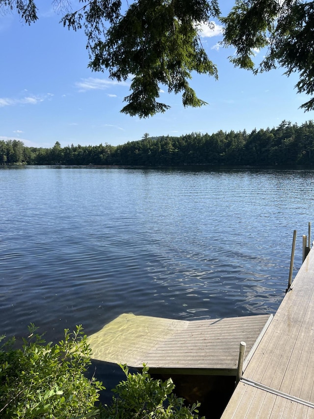 view of dock with a water view