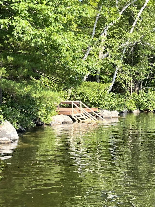 property view of water with a forest view