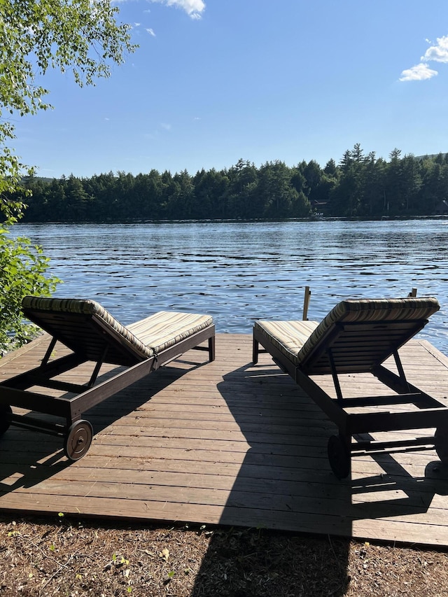 dock area with a forest view and a water view