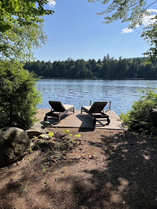 dock area with a water view and a view of trees
