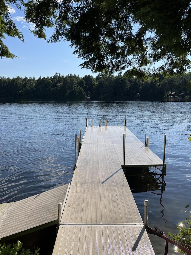 view of dock featuring a water view