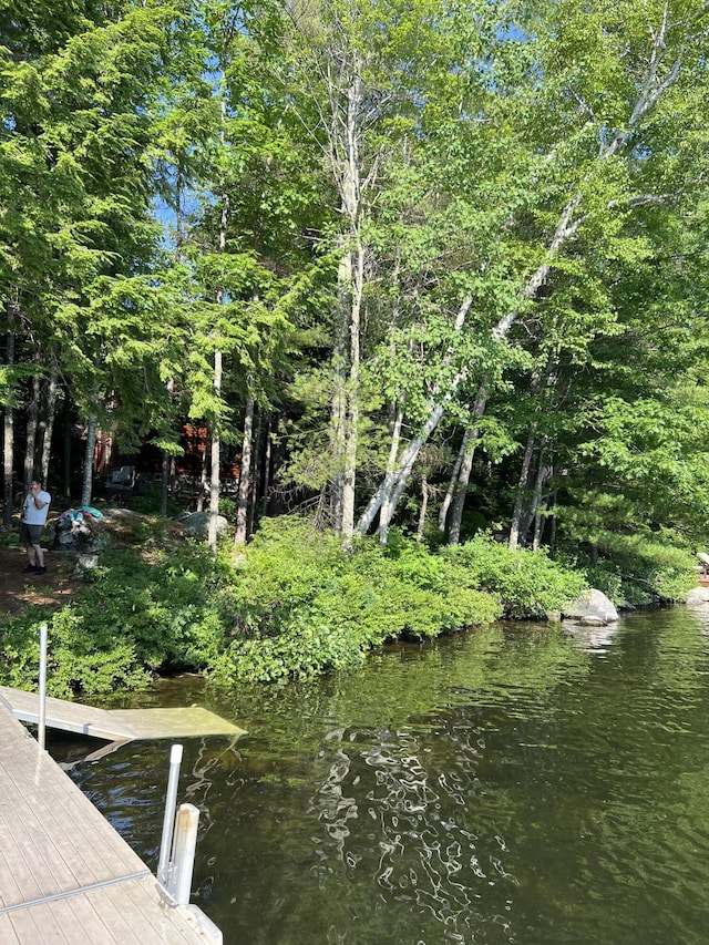 dock area featuring a water view and a view of trees