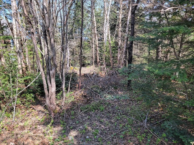 Listing photo 3 for LOT59 E Branch Rd, Sandy River Plt ME 04970