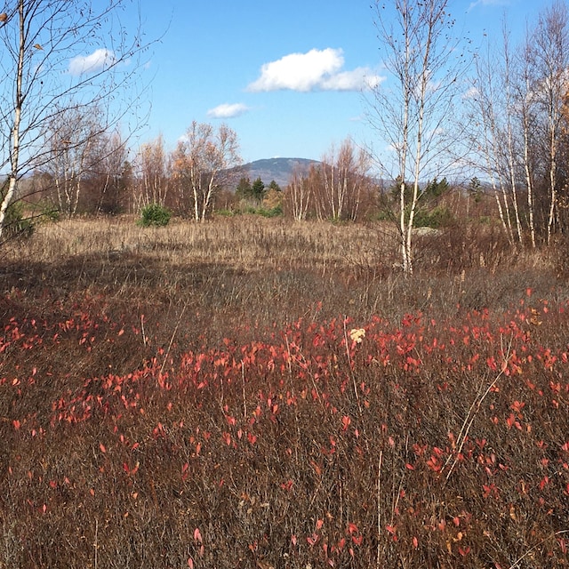08-02A Sedgwick Ridge Rd, Sedgwick, ME 04676