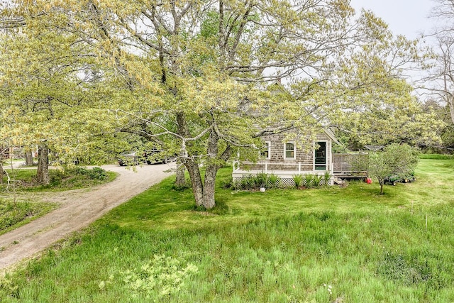 view of yard featuring a deck