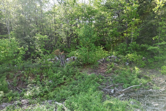 LOT16 Torrey Hill Rd, Turner, ME 04282 - photo 3