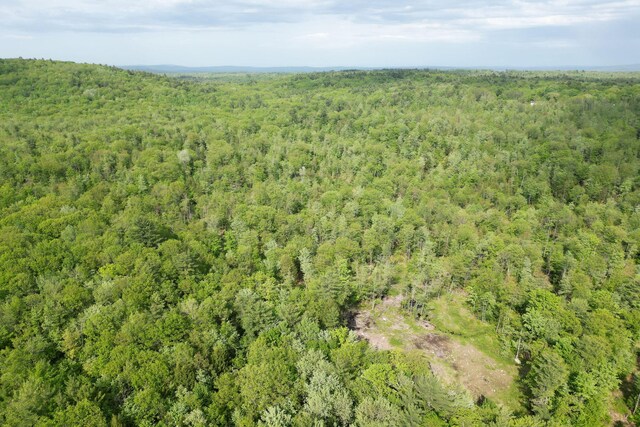 LOT16 Torrey Hill Rd, Turner, ME 04282 - photo 2
