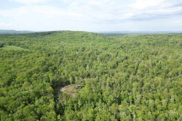 LOT16 Torrey Hill Rd, Turner, ME 04282 - photo 4