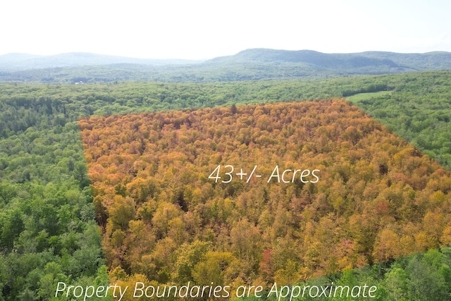 LOT16 Torrey Hill Rd, Turner, ME 04282 - photo 5