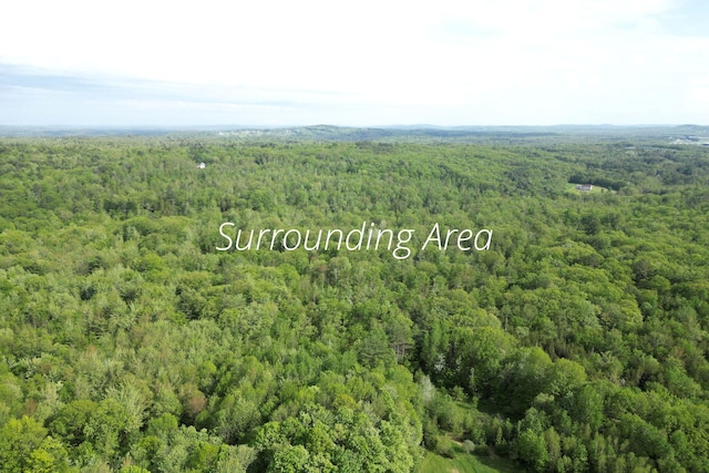 LOT16 Torrey Hill Rd, Turner, ME 04282 - photo 6
