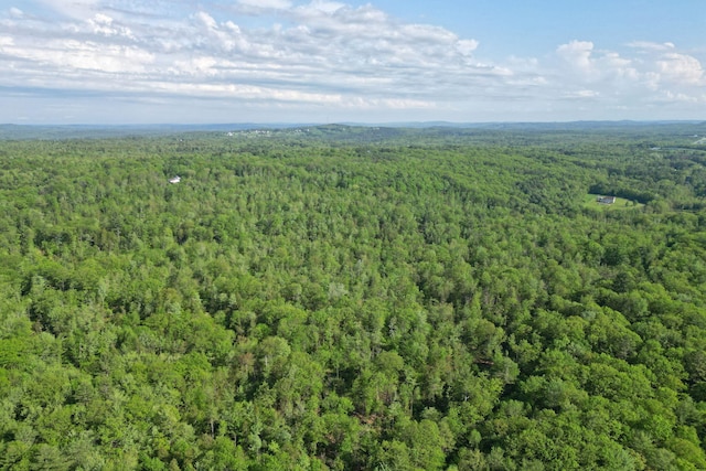 LOT16 Torrey Hill Rd, Turner, ME 04282 - photo 7
