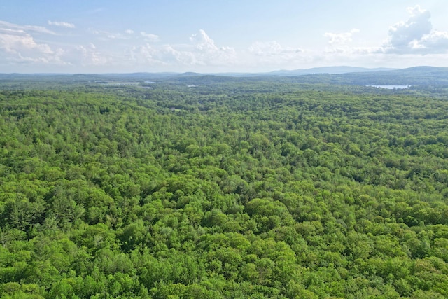 LOT16 Torrey Hill Rd, Turner, ME 04282 - photo 8
