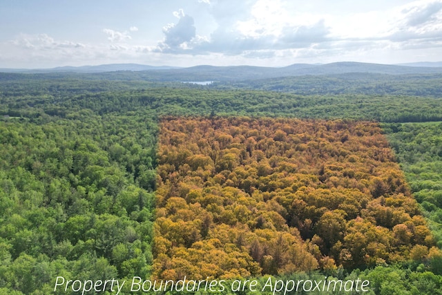 LOT16 Torrey Hill Rd, Turner, ME 04282 - photo 10