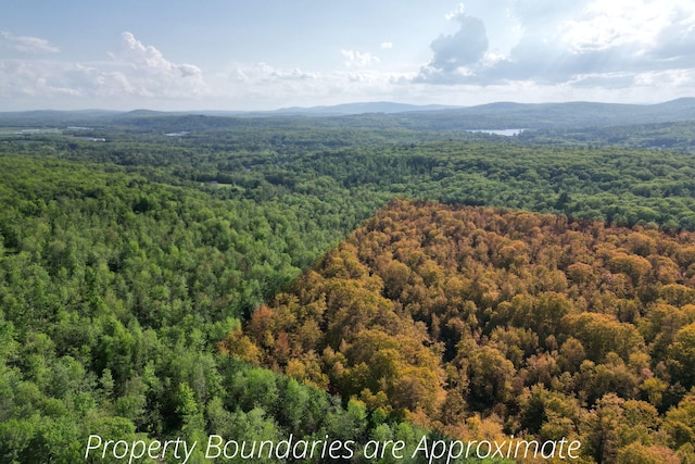 LOT16 Torrey Hill Rd, Turner, ME 04282 - photo 9