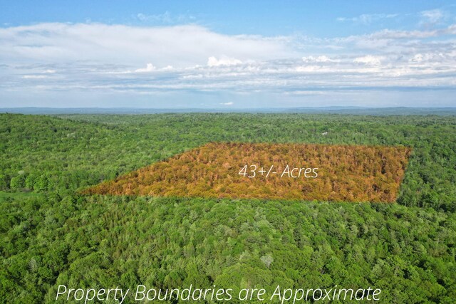 LOT16 Torrey Hill Rd, Turner, ME 04282 - photo 1