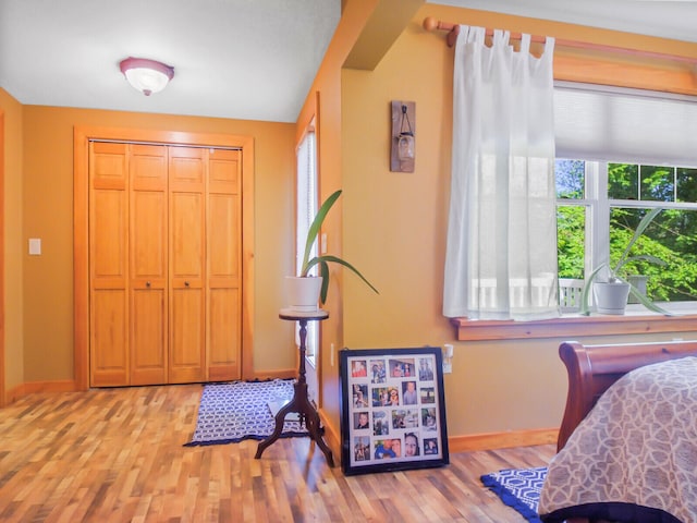 bedroom with hardwood / wood-style floors and a closet