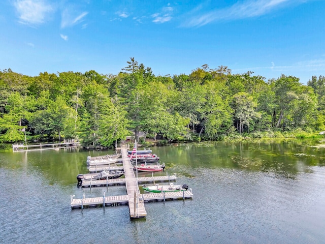 view of dock with a water view