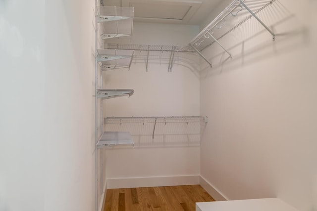 walk in closet with light wood-style flooring