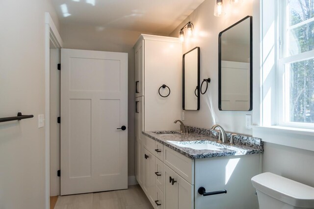 bathroom with toilet, a healthy amount of sunlight, and a sink