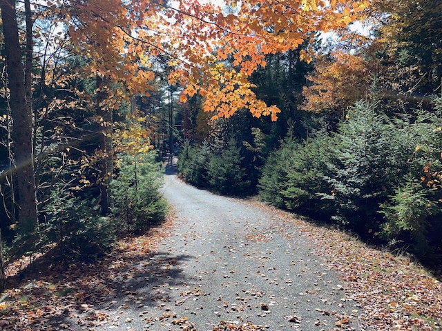 view of street featuring a view of trees