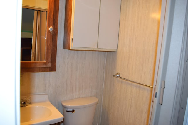 bathroom with sink and toilet