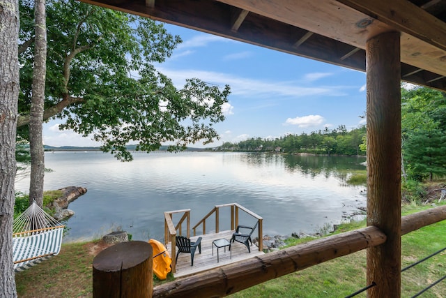 dock area with a water view